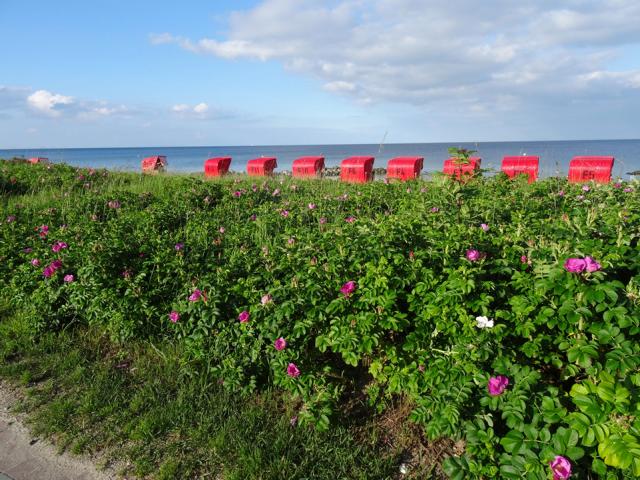 Strand von Schoenhagen